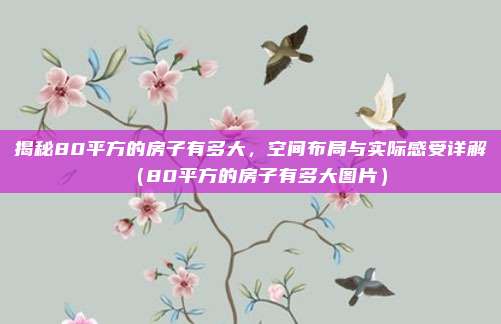 揭秘80平方的房子有多大,空间布局与实际感受详解(80平方的房子有多大图片)