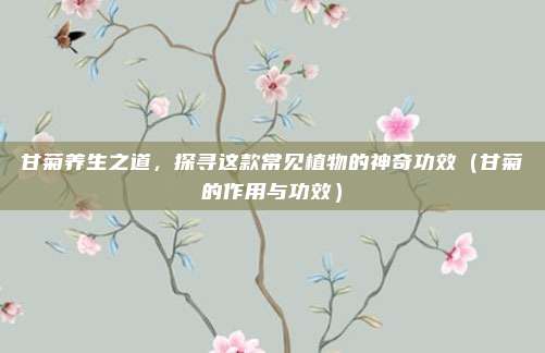 甘菊养生之道,探寻这款常见植物的神奇功效(甘菊的作用与功效)