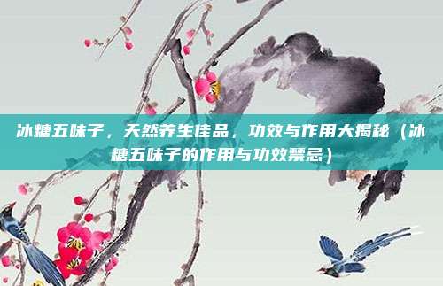 冰糖五味子，天然养生佳品，功效与作用大揭秘（冰糖五味子的作用与功效禁忌）