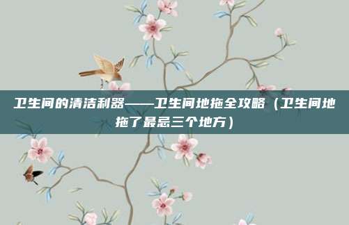 卫生间的清洁利器——卫生间地拖全攻略(卫生间地拖了最忌三个地方)