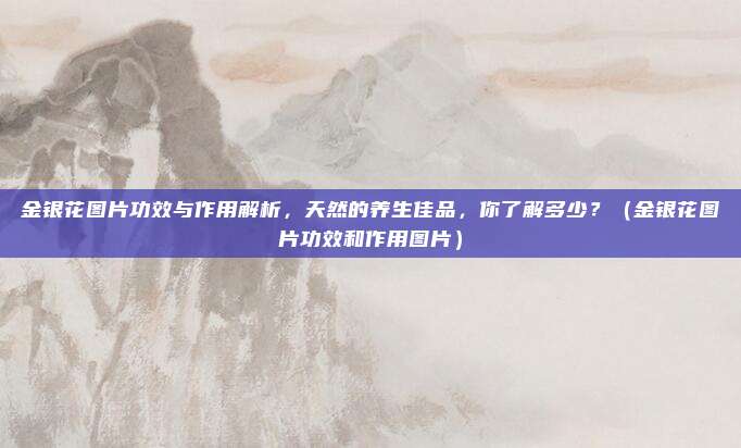 金银花图片功效与作用解析，天然的养生佳品，你了解多少？（金银花图片功效和作用图片）