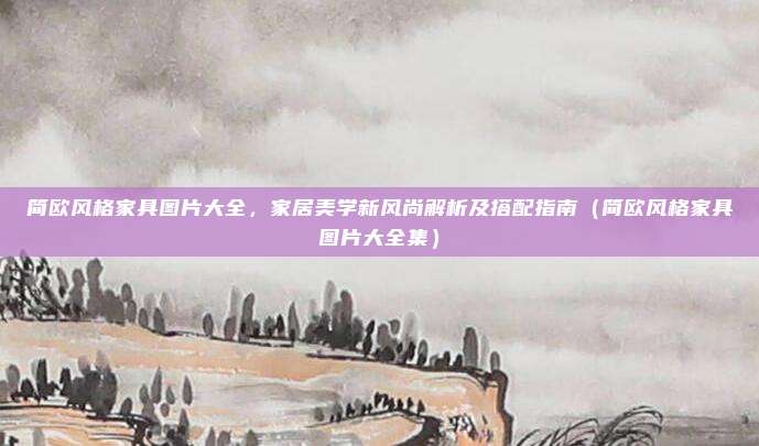 简欧风格家具图片大全，家居美学新风尚解析及搭配指南（简欧风格家具图片大全集）