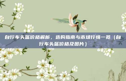 自行车头盔价格解析，选购指南与市场行情一览（自行车头盔价格及图片）