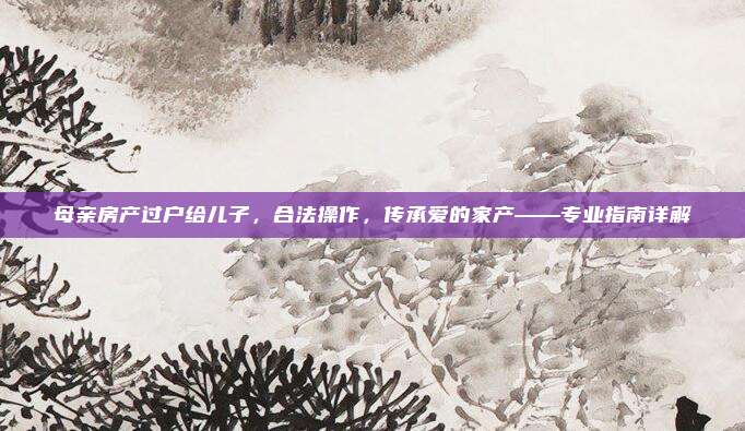 母亲房产过户给儿子，合法操作，传承爱的家产——专业指南详解