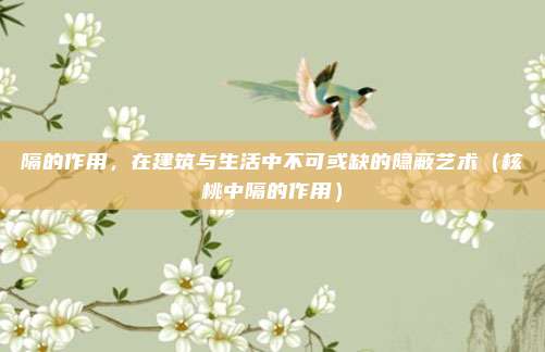 隔的作用,在建筑与生活中不可或缺的隐蔽艺术(核桃中隔的作用)