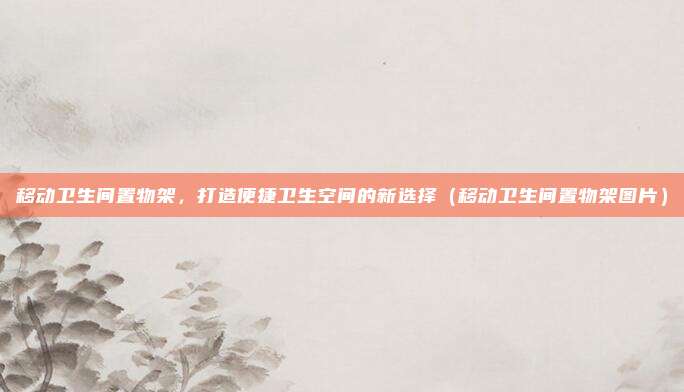 移动卫生间置物架，打造便捷卫生空间的新选择（移动卫生间置物架图片）