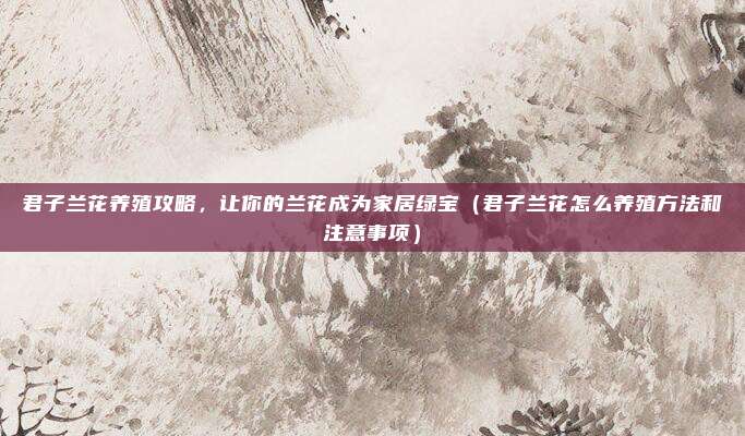 君子兰花养殖攻略，让你的兰花成为家居绿宝（君子兰花怎么养殖方法和注意事项）