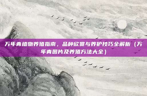 万年青植物养殖指南,品种欣赏与养护技巧全解析(万年青图片及养殖方法大全)