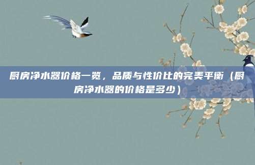 厨房净水器价格一览，品质与性价比的完美平衡（厨房净水器的价格是多少）