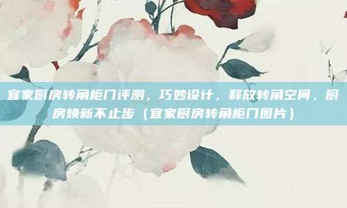 宜家厨房转角柜门评测，巧妙设计，释放转角空间，厨房焕新不止步（宜家厨房转角柜门图片）
