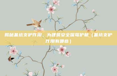 揭秘基坑支护作用，为建筑安全保驾护航（基坑支护作用有哪些）