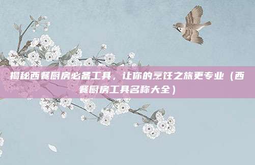 揭秘西餐厨房必备工具,让你的烹饪之旅更专业(西餐厨房工具名称大全)