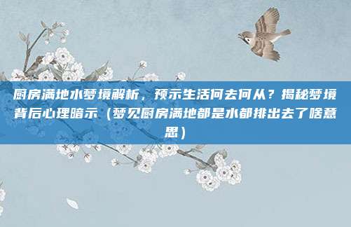 厨房满地水梦境解析,预示生活何去何从?揭秘梦境背后心理暗示(梦见厨房满地都是水都排出去了啥意思)