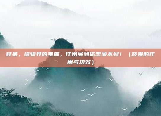 枝果,植物界的宝库,作用多到你想象不到!(枝果的作用与功效)