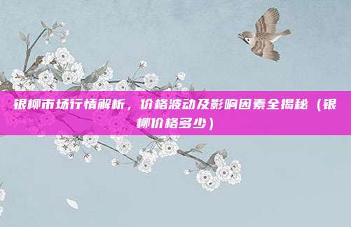 银柳市场行情解析，价格波动及影响因素全揭秘（银柳价格多少）
