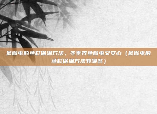 最省电的鱼缸保温方法，冬季养鱼省电又安心（最省电的鱼缸保温方法有哪些）
