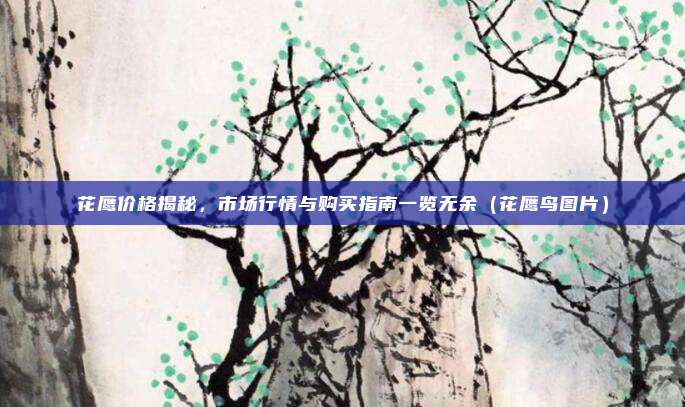 花鹰价格揭秘,市场行情与购买指南一览无余(花鹰鸟图片)