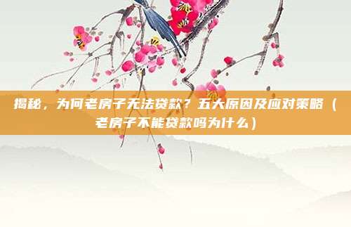 揭秘，为何老房子无法贷款？五大原因及应对策略（老房子不能贷款吗为什么）