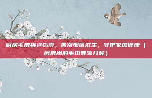 厨房毛巾挑选指南，告别细菌滋生，守护家庭健康（厨房用的毛巾有哪几种）