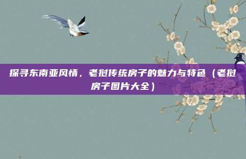 探寻东南亚风情，老挝传统房子的魅力与特色（老挝房子图片大全）