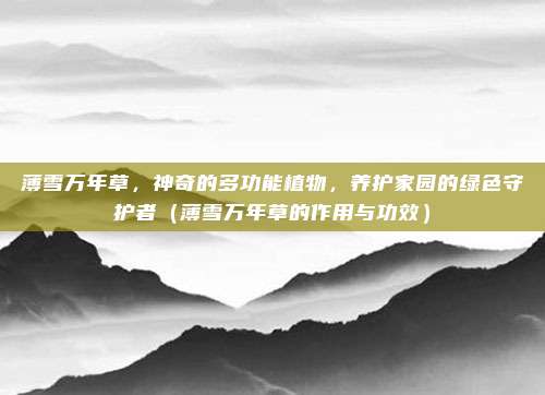 薄雪万年草，神奇的多功能植物，养护家园的绿色守护者（薄雪万年草的作用与功效）