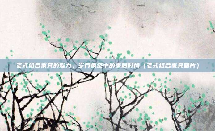 老式组合家具的魅力，岁月痕迹中的家居时尚（老式组合家具图片）