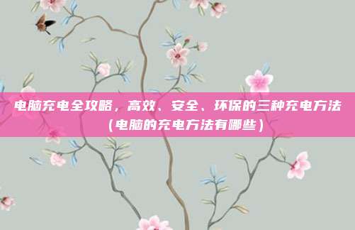 电脑充电全攻略,高效、安全、环保的三种充电方法(电脑的充电方法有哪些)