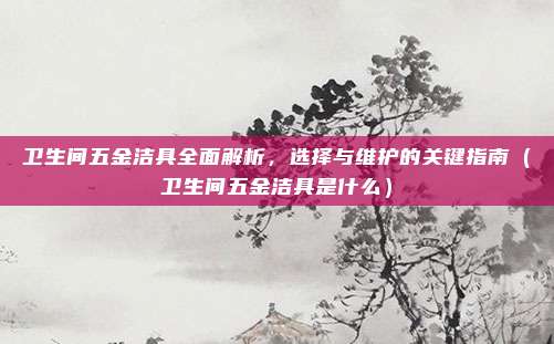 卫生间五金洁具全面解析,选择与维护的关键指南(卫生间五金洁具是什么)