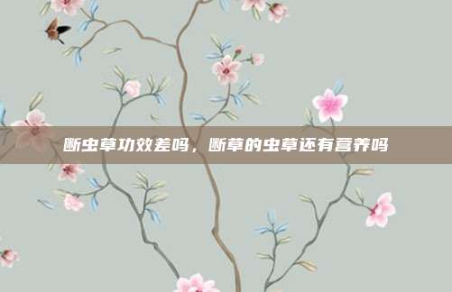 断虫草功效差吗，断草的虫草还有营养吗