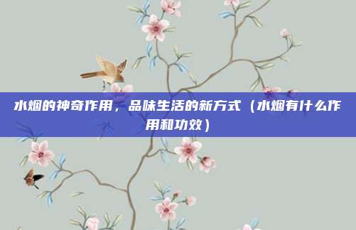 水烟的神奇作用,品味生活的新方式(水烟有什么作用和功效)