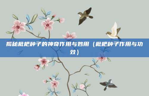 揭秘枇杷种子的神奇作用与妙用（枇杷种子作用与功效）