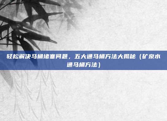 轻松解决马桶堵塞问题,五大通马桶方法大揭秘(矿泉水通马桶方法)