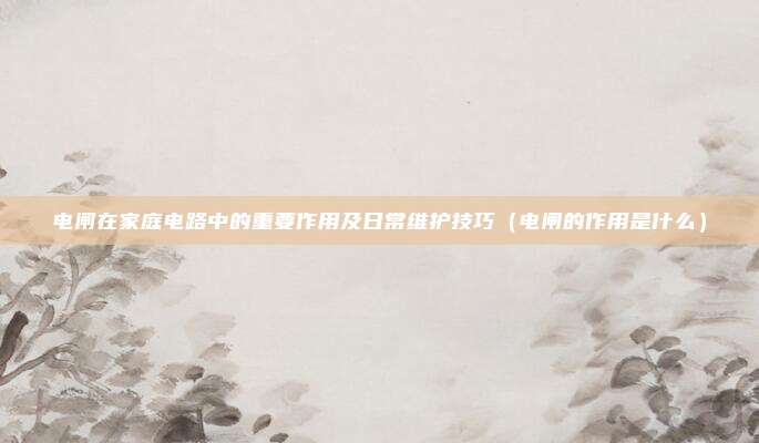 电闸在家庭电路中的重要作用及日常维护技巧（电闸的作用是什么）