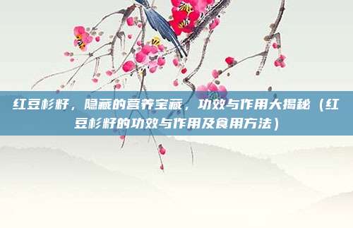 红豆杉籽，隐藏的营养宝藏，功效与作用大揭秘（红豆杉籽的功效与作用及食用方法）