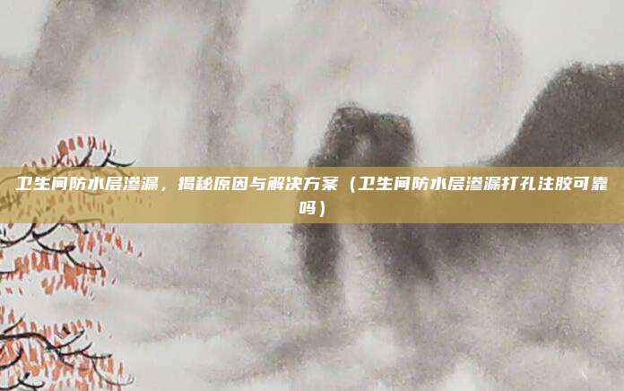 卫生间防水层渗漏,揭秘原因与解决方案(卫生间防水层渗漏打孔注胶可靠吗)