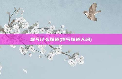 煤气什么味道(煤气味道大吗)