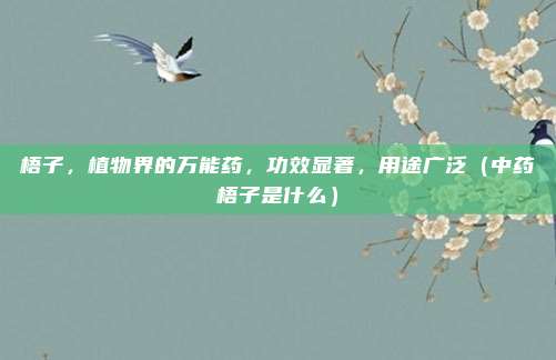 梧子,植物界的万能药,功效显著,用途广泛(中药梧子是什么)