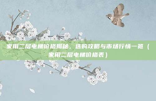 家用二层电梯价格揭秘，选购攻略与市场行情一览（家用二层电梯价格表）