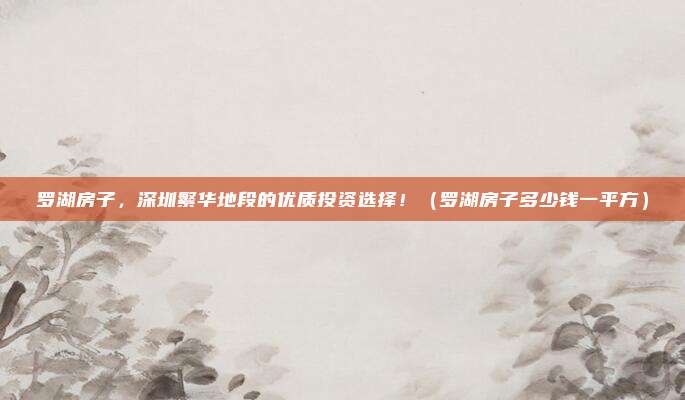 罗湖房子，深圳繁华地段的优质投资选择！（罗湖房子多少钱一平方）