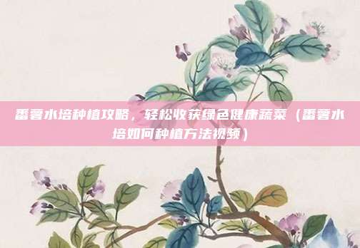 番薯水培种植攻略，轻松收获绿色健康蔬菜（番薯水培如何种植方法视频）