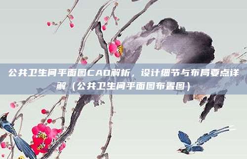 公共卫生间平面图CAD解析，设计细节与布局要点详解（公共卫生间平面图布置图）