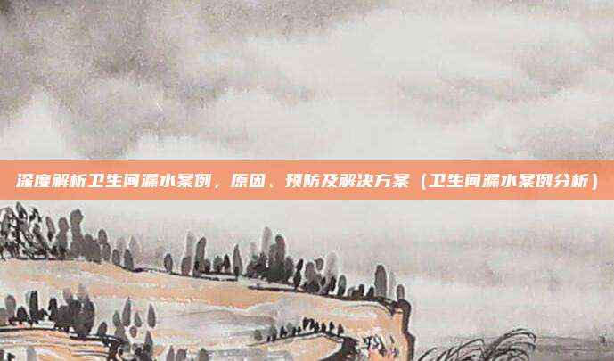 深度解析卫生间漏水案例，原因、预防及解决方案（卫生间漏水案例分析）