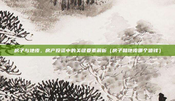 房子与地皮，房产投资中的关键要素解析（房子和地皮哪个值钱）