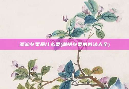 潮汕冬菜是什么菜(潮州冬菜的做法大全)