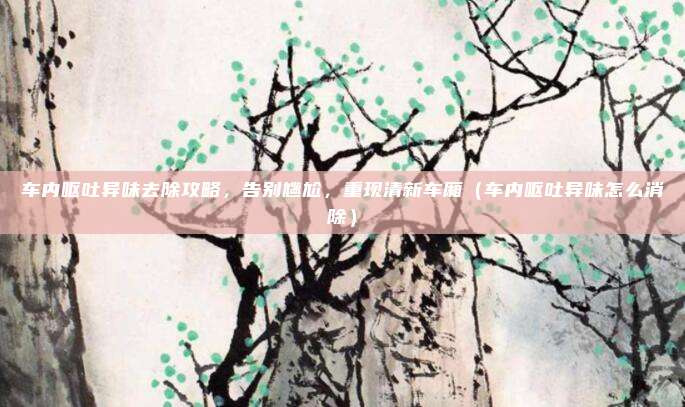 车内呕吐异味去除攻略,告别尴尬,重现清新车厢(车内呕吐异味怎么消除)