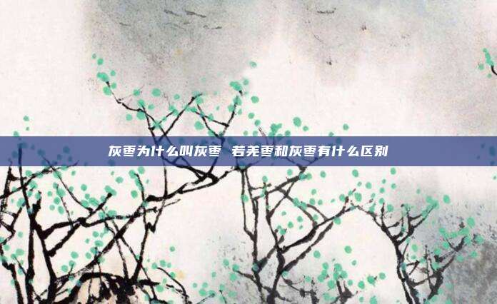 灰枣为什么叫灰枣 若羌枣和灰枣有什么区别