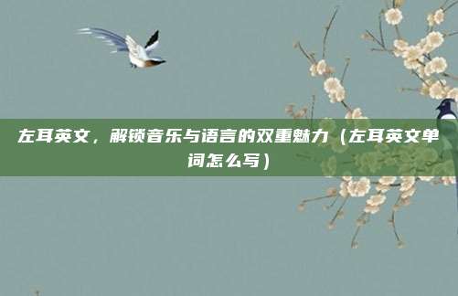 左耳英文，解锁音乐与语言的双重魅力（左耳英文单词怎么写）