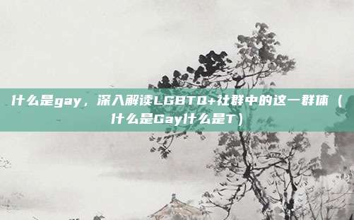 什么是gay，深入解读LGBTQ+社群中的这一群体（什么是Gay什么是T）