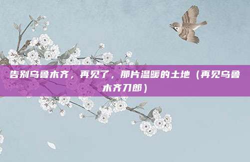 告别乌鲁木齐，再见了，那片温暖的土地（再见乌鲁木齐刀郎）