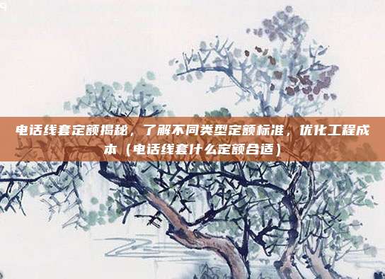 电话线套定额揭秘，了解不同类型定额标准，优化工程成本（电话线套什么定额合适）